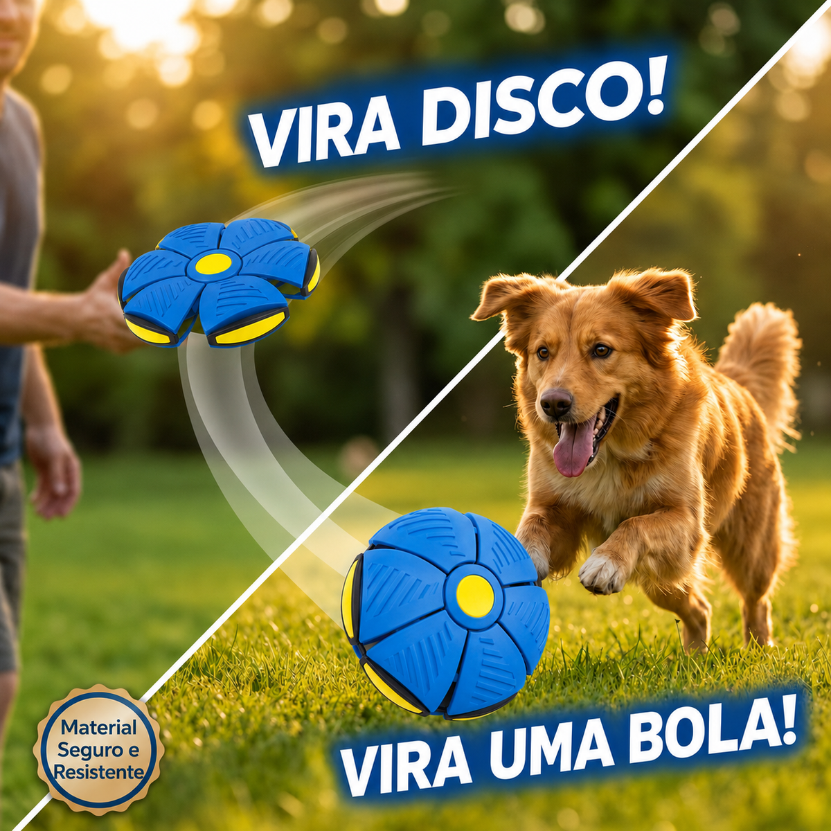 DiscPet - Diversão 2 em 1