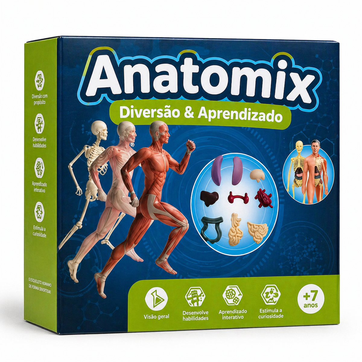 Anatomix - Diversão & Aprendizado